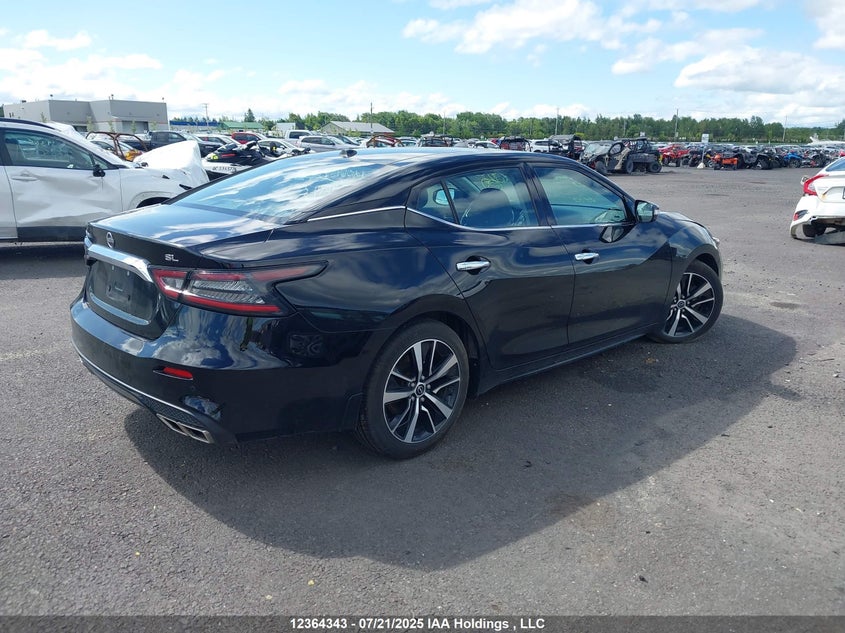 2023 Nissan Maxima Sl VIN: 1N4AA6DV2PC510309 Lot: 12364343