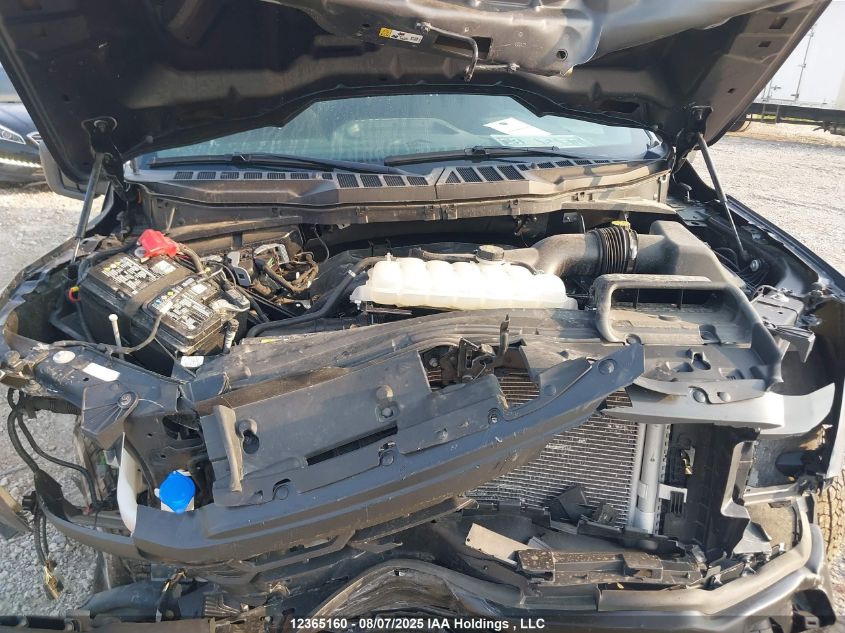 2024 Ford F-150 VIN: 1FTEW2LP5RFB32545 Lot: 12365160