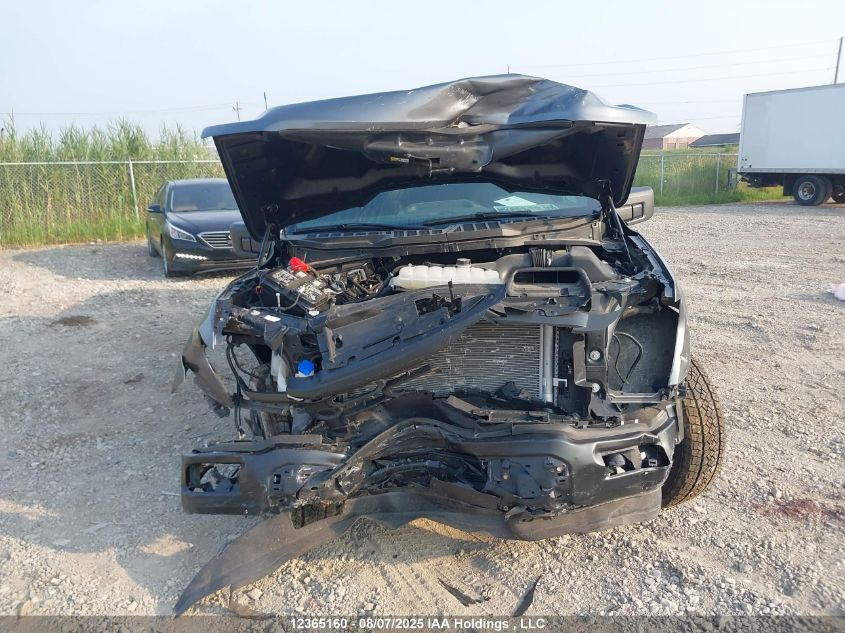 2024 Ford F-150 VIN: 1FTEW2LP5RFB32545 Lot: 12365160