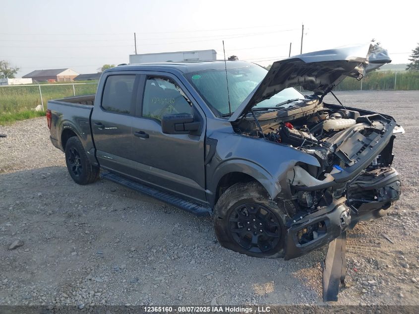 2024 Ford F-150 VIN: 1FTEW2LP5RFB32545 Lot: 12365160