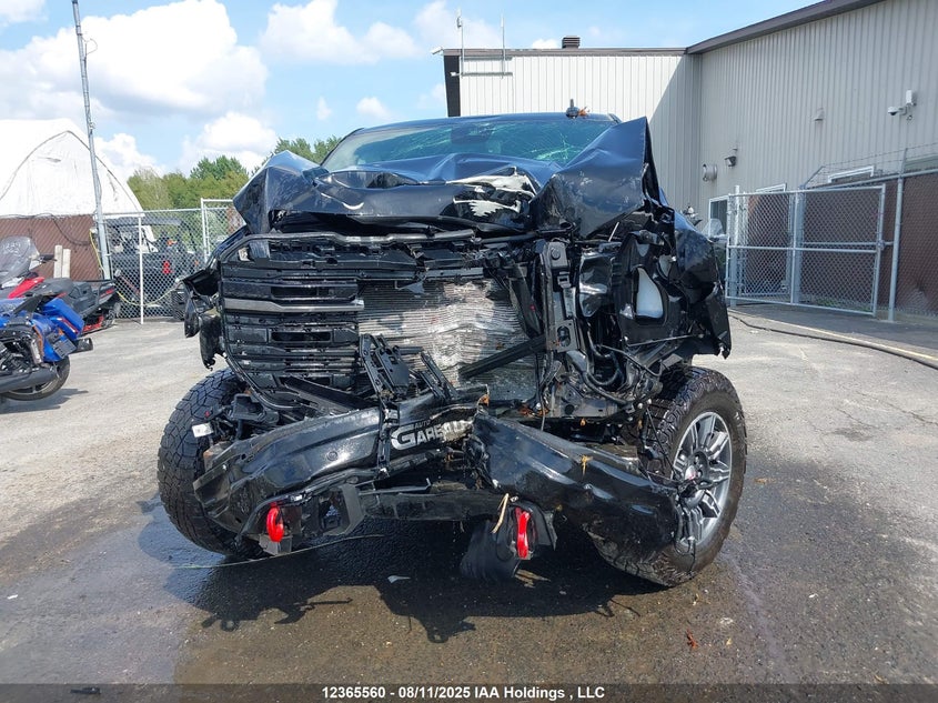 2024 GMC Sierra K1500 At4 VIN: 3GTUUEEL1RG246702 Lot: 12365560