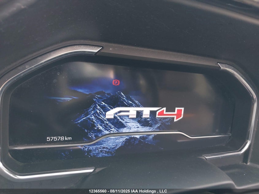 2024 GMC Sierra K1500 At4 VIN: 3GTUUEEL1RG246702 Lot: 12365560