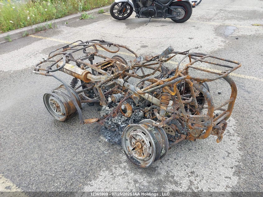 5Y4AJ25W97A300870 2007 Yamaha Yfm450 Fwan auction photo 1