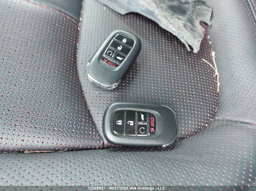 2024 Honda Pilot Black Edition VIN: 5FNYG1H80RB500902 Lot: 12365927