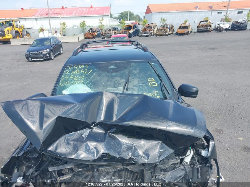 2024 Honda Pilot Black Edition VIN: 5FNYG1H80RB500902 Lot: 12365927