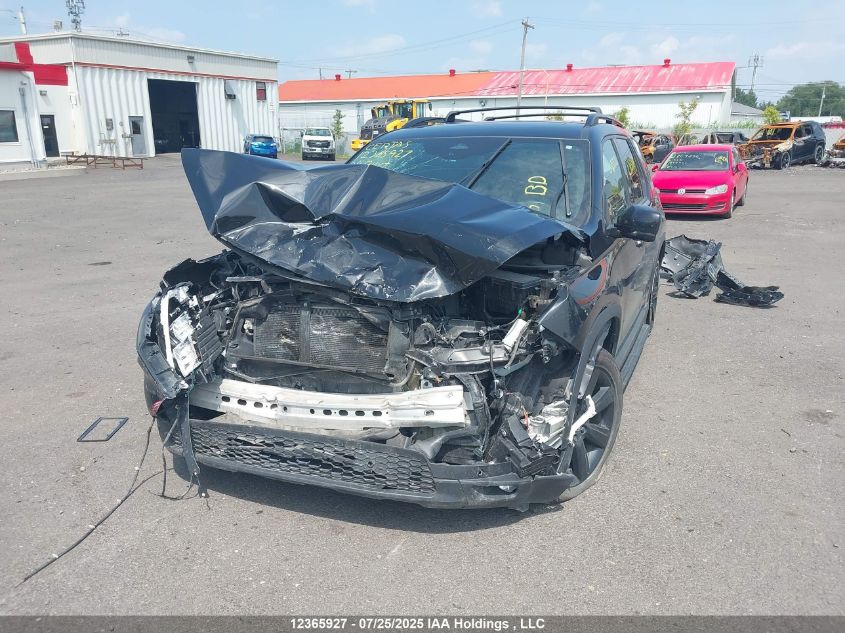 2024 Honda Pilot Black Edition VIN: 5FNYG1H80RB500902 Lot: 12365927