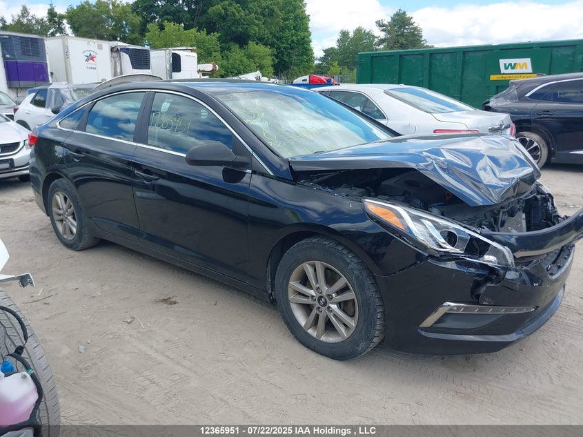 5NPE24AF9GH276216 2016 Hyundai Sonata Se auction photo 1