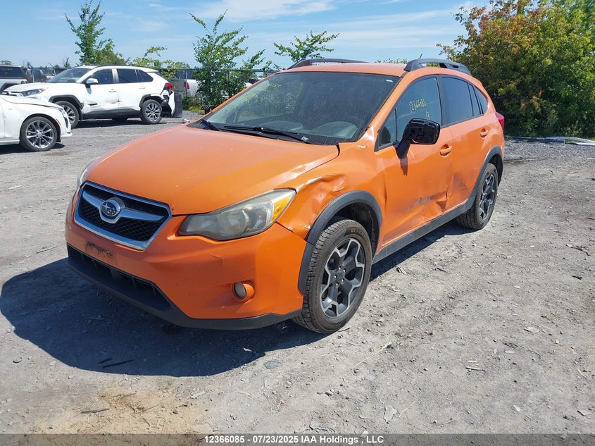 2013 Subaru Xv Crosstrek 2.0 Premium VIN: JF2GPACCXD2807479 Lot: 12366085
