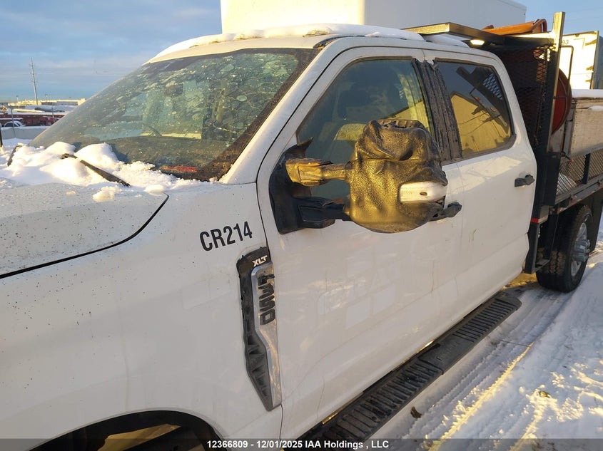 2023 Ford F350 Super Duty VIN: 1FT8W3BN7PED34924 Lot: 12366809