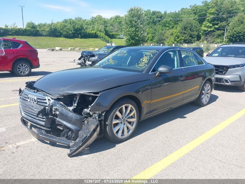2019 Audi A4 VIN: WAUANAF4XKN019860 Lot: 12367207