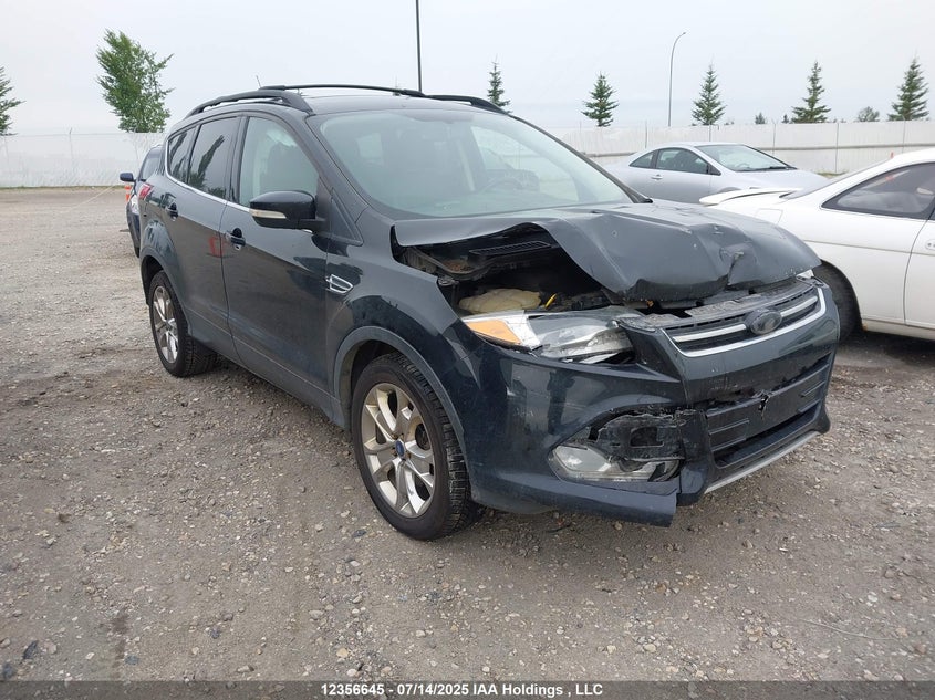 1FMCU9H95DUA43526 2013 Ford Escape Sel auction photo 1