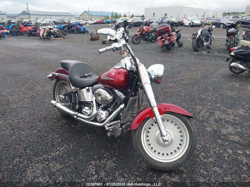 5HD1BX5137Y072838 2007 Harley-Davidson Flstf auction photo 1