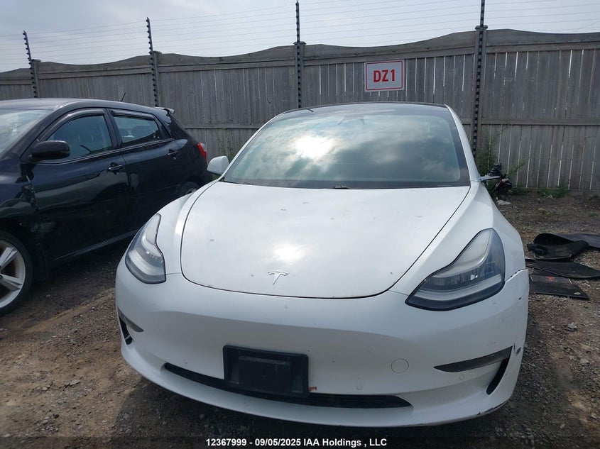 2020 Tesla Model 3 VIN: 5YJ3E1EA5LF603876 Lot: 12367999