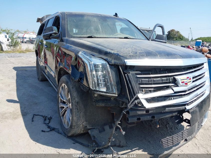 2018 Cadillac Escalade Esv Platinum VIN: 1GYS4KKJ2JR158975 Lot: 12368010