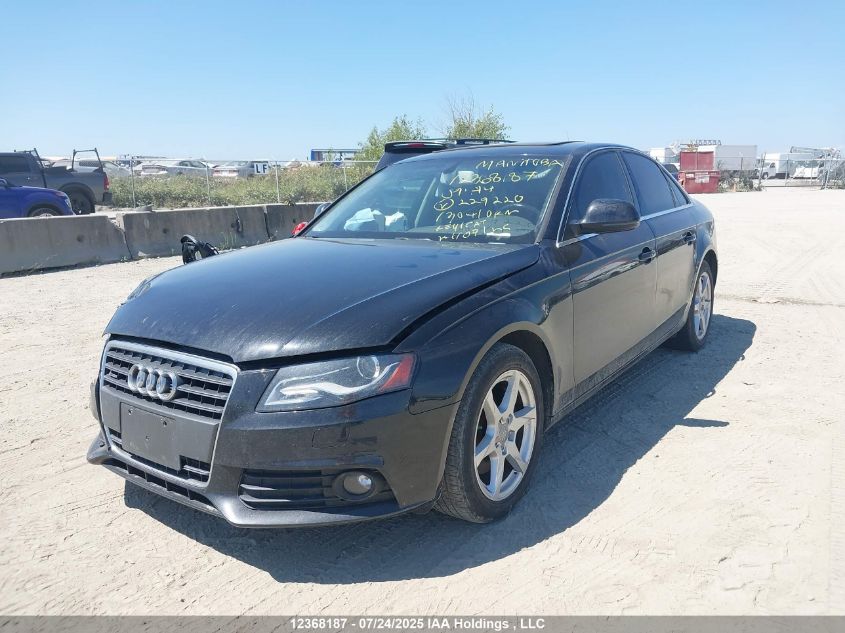 2009 Audi A4 2.0T Quattro VIN: WAULF68K59A229220 Lot: 12368187