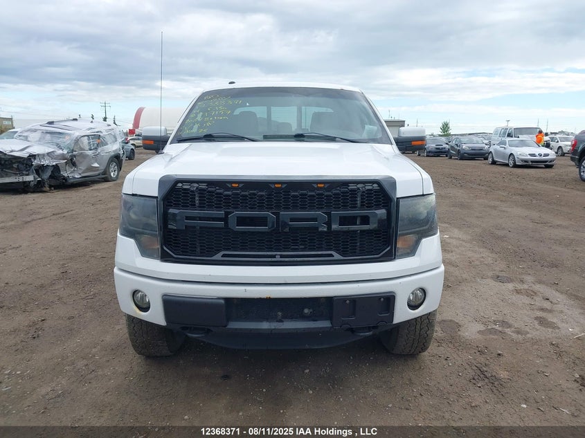 1FTFW1ET5EKF97157 2014 FORD F-150 photo no. 13