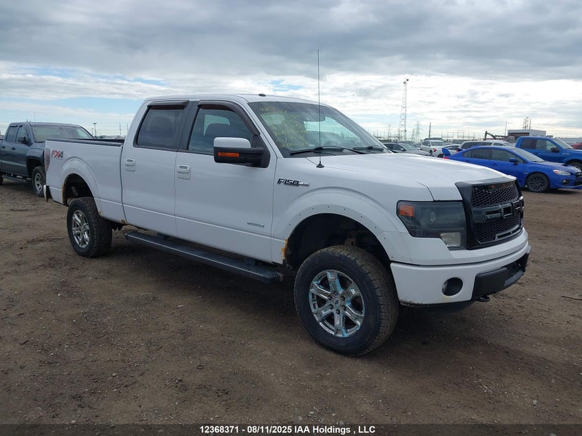 1FTFW1ET5EKF97157 2014 FORD F-150 photo no. 8