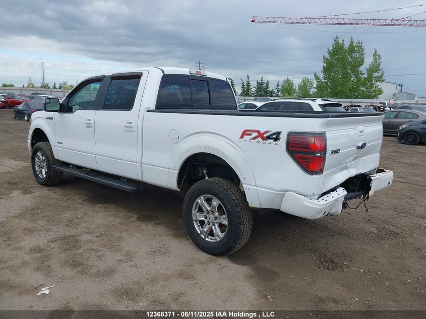 1FTFW1ET5EKF97157 2014 FORD F-150 photo no. 3