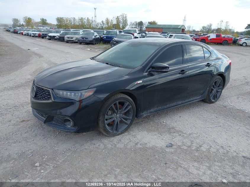 2020 Acura Tlx Technology/A-Spec VIN: 19UUB3F66LA801539 Lot: 12369236