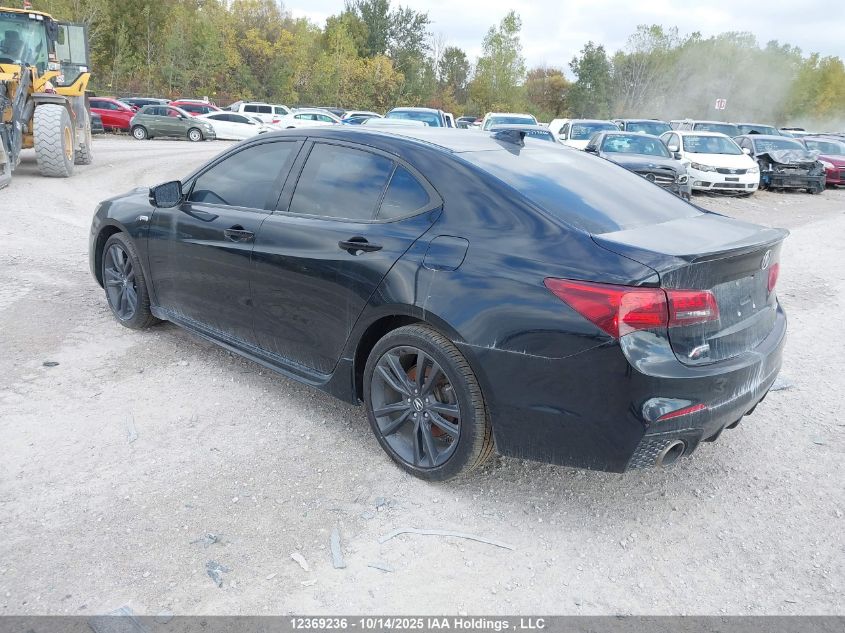 2020 Acura Tlx Technology/A-Spec VIN: 19UUB3F66LA801539 Lot: 12369236