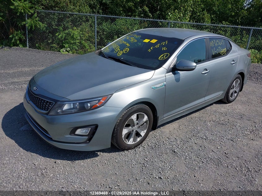 2014 Kia Optima VIN: KNAGM4AD2E5076838 Lot: 12369469