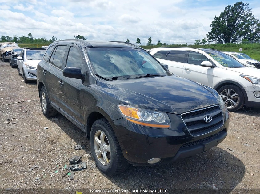 5NMSG13E99H311005 2009 Hyundai Santa Fe Gl/Gls auction photo 1