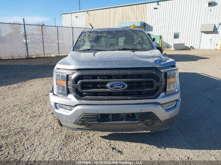 2023 Ford F-150 Xlt VIN: 1FTFW1E80PKE59055 Lot: 12370450
