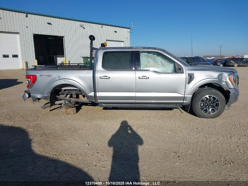2023 Ford F-150 Xlt VIN: 1FTFW1E80PKE59055 Lot: 12370450