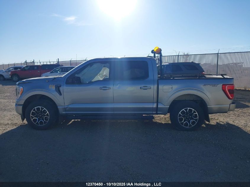 2023 Ford F-150 Xlt VIN: 1FTFW1E80PKE59055 Lot: 12370450