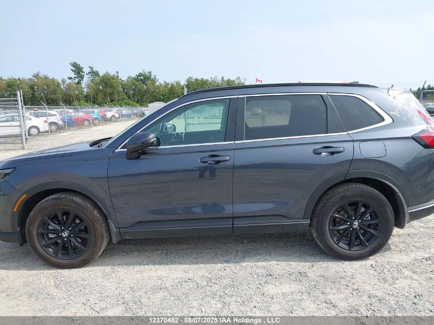 2024 Honda Cr-V Sport VIN: 2HKRS4H52RH116339 Lot: 12370482