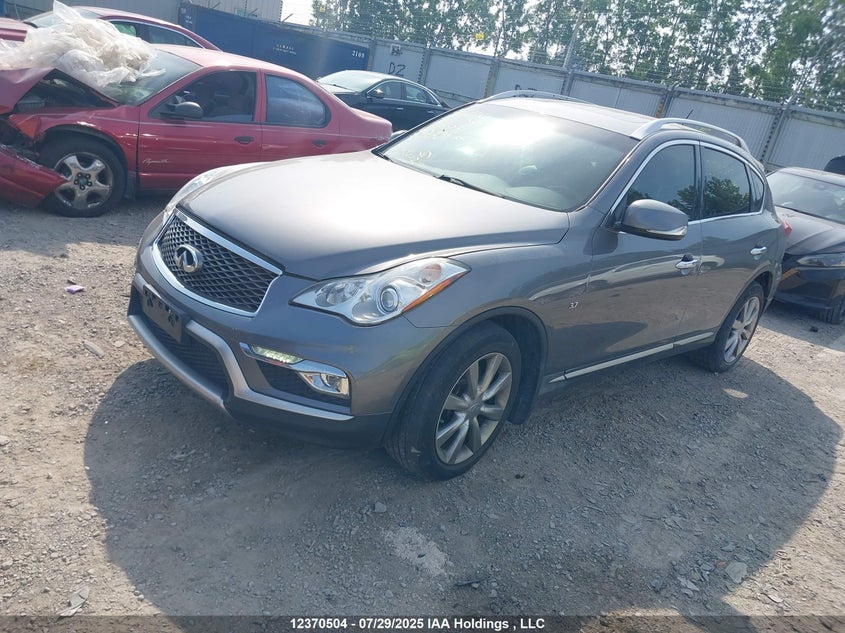 2016 Infiniti Qx50 VIN: JN1BJ0RR6GM262845 Lot: 12370504