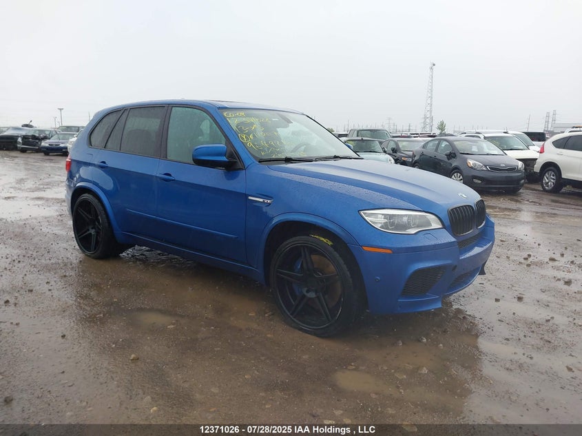 5YMGY0C50D0C12007 2013 BMW X5 M auction photo 1