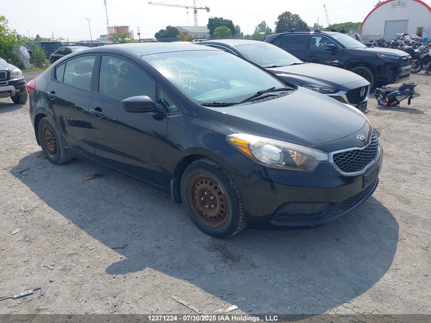 2014 Kia Forte Lx VIN: KNAFK4A69E5074619 Lot: 12371224