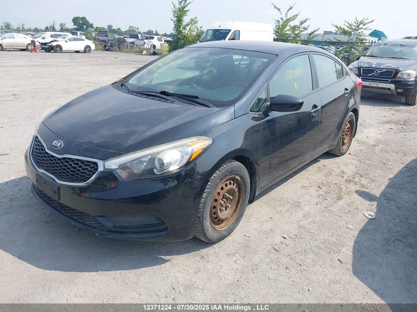 2014 Kia Forte Lx VIN: KNAFK4A69E5074619 Lot: 12371224