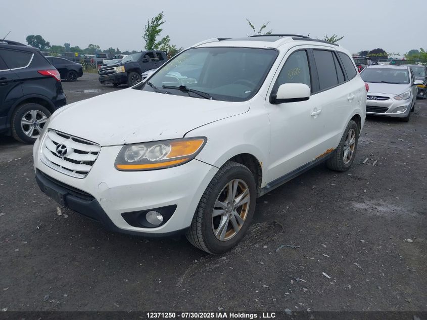 2010 Hyundai Santa Fe Gl 3.5 Sport VIN: 5NMSGDAG5AH344447 Lot: 12371250