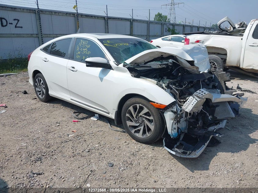 2HGFC2F76KH043081 2019 Honda Civic auction photo 1