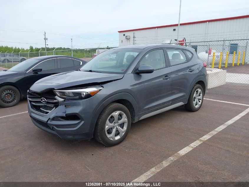 2017 Hyundai Tucson VIN: KM8J23A43HU432020 Lot: 12352081X