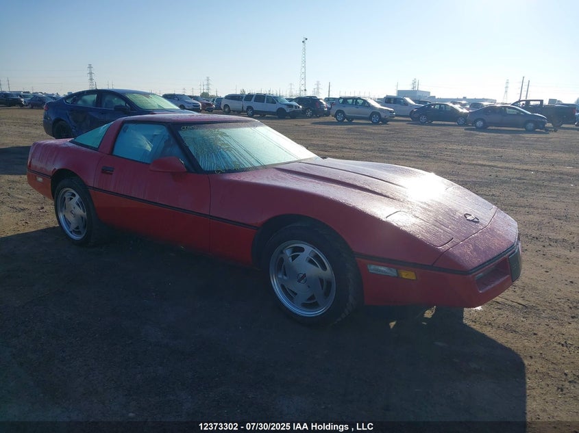 1G1YY2185J5108588 1988 Chevrolet Corvette auction photo 1