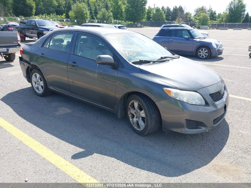 2T1BU40E69C103295 2009 Toyota Corolla S/Le/Xle auction photo 1