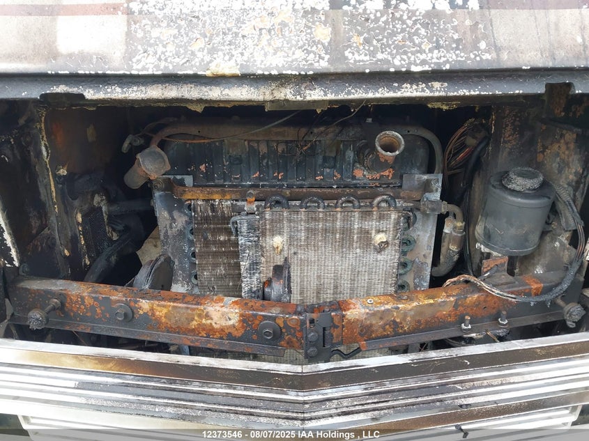 1GBKP37W1B3306615 1981 CHEVROLET  photo no. 10
