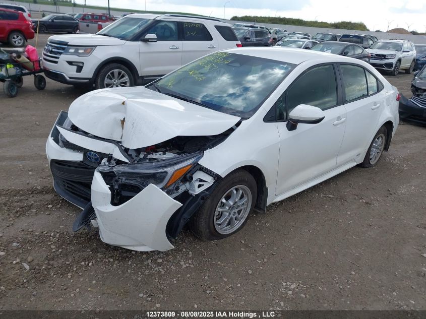 2025 Toyota Corolla Le/Se VIN: JTDBDMHEXS3020553 Lot: 12373809