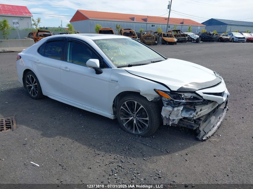 2019 TOYOTA CAMRY SEDAN | 4T1B21HK6KU520757
