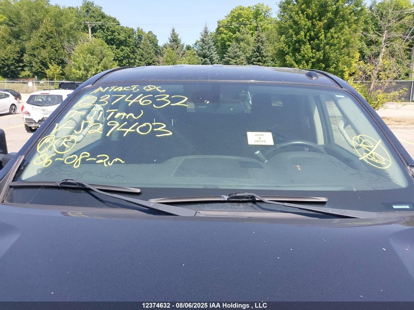 2017 Nissan Titan Platinum Reserve/Pro-4X/S/Sl/Sv VIN: 1N6AA1E53HN529403 Lot: 12374632