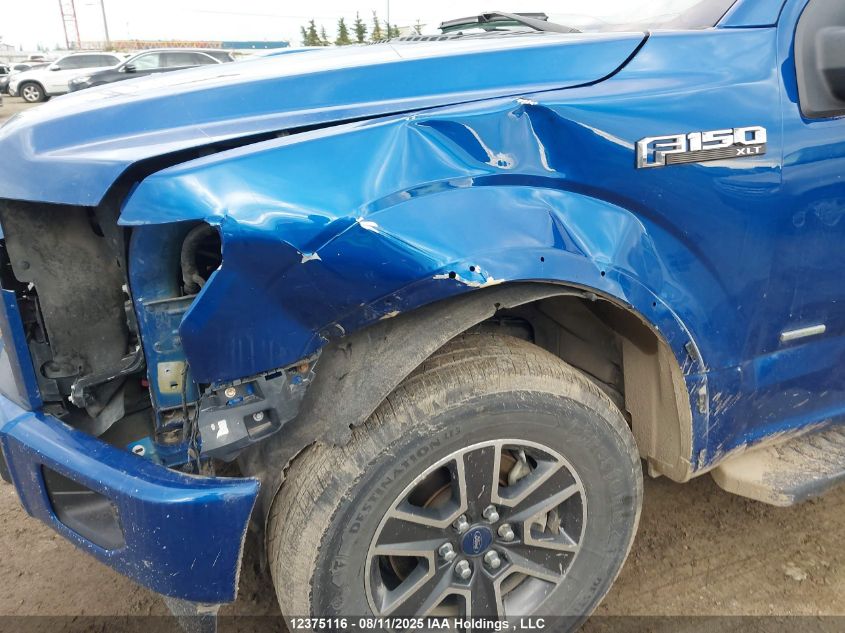 2017 Ford F-150 Xlt VIN: 1FTEX1EP9HKD50269 Lot: 12375116