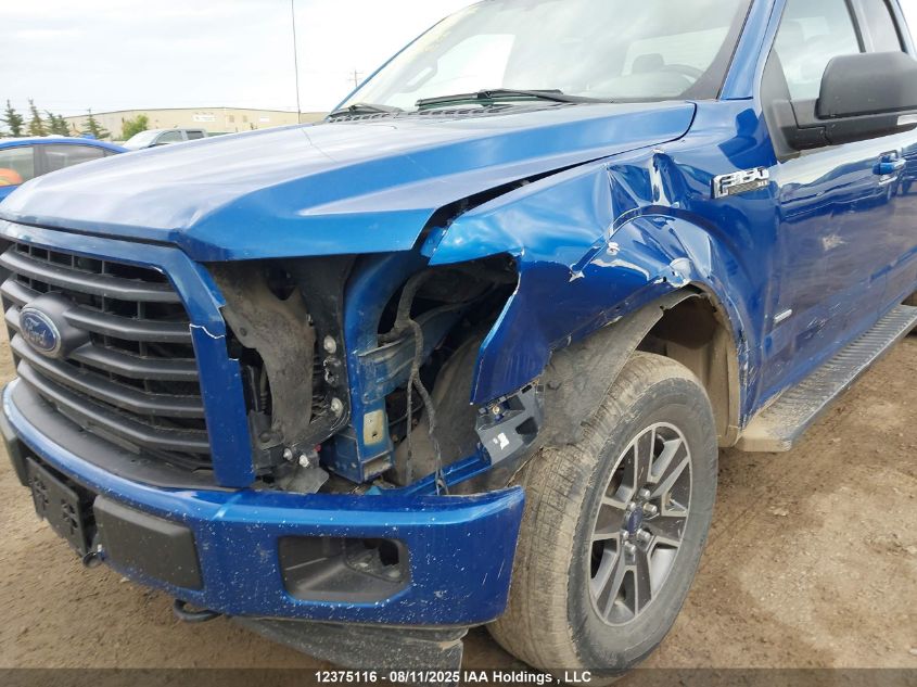 2017 Ford F-150 Xlt VIN: 1FTEX1EP9HKD50269 Lot: 12375116