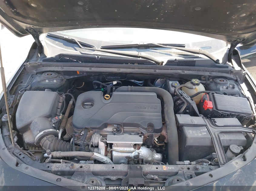 2019 Chevrolet Malibu VIN: 1G1ZG5ST2KF226573 Lot: 12375208