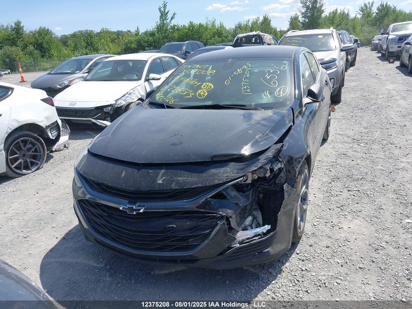 2019 Chevrolet Malibu VIN: 1G1ZG5ST2KF226573 Lot: 12375208