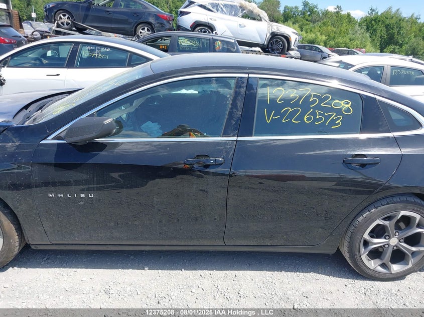 2019 Chevrolet Malibu VIN: 1G1ZG5ST2KF226573 Lot: 12375208