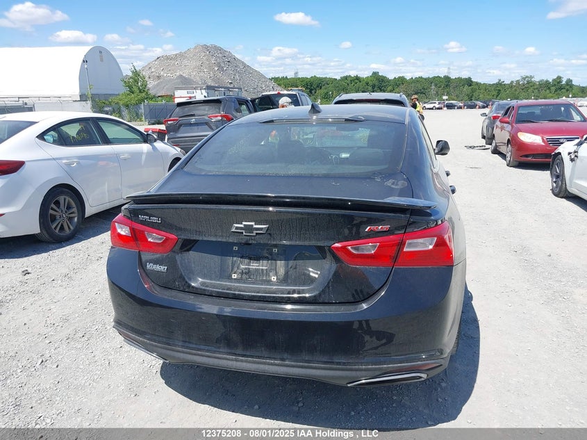 2019 Chevrolet Malibu VIN: 1G1ZG5ST2KF226573 Lot: 12375208