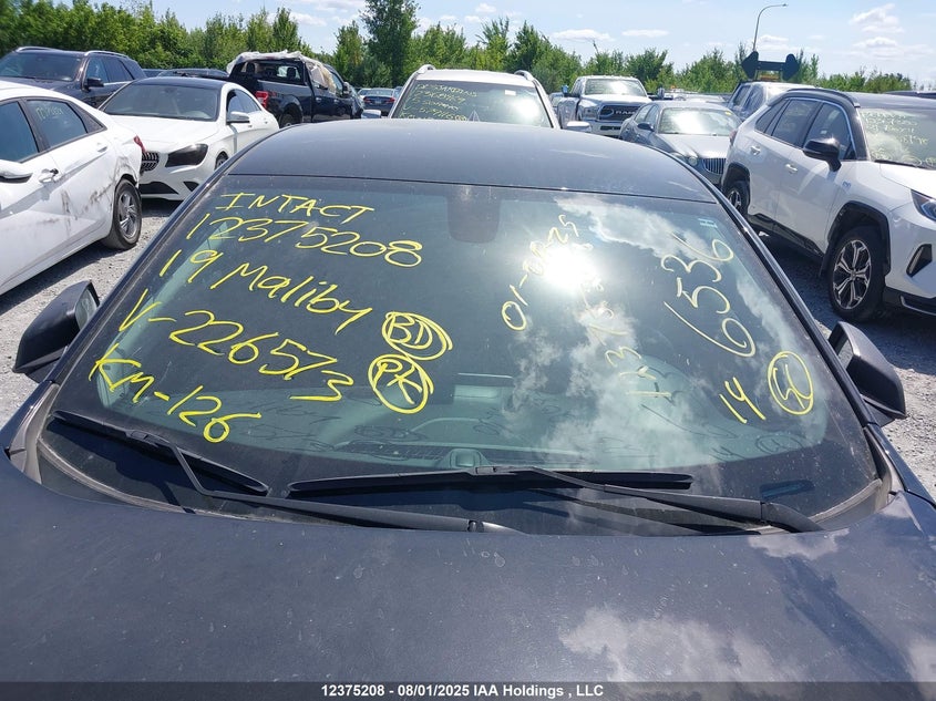 2019 Chevrolet Malibu VIN: 1G1ZG5ST2KF226573 Lot: 12375208